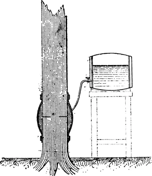Injection Arbre Debout Utilisant Flottabilité Sève Illustration Gravée Vintage — Image vectorielle