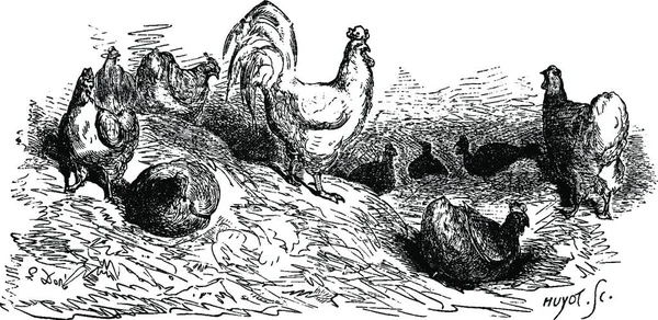 Ilustracja Konia Postaci Wilka — Wektor stockowy