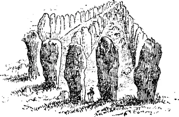 Menhirs排成一排Carnac 老式雕刻插图 来自自然创造和生物 — 图库矢量图片