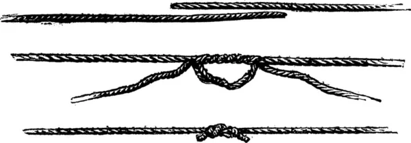 Fisherman Knot Vintage Ingraverad Illustration Magasin Pittoresque Larive Och Fleury — Stock vektor