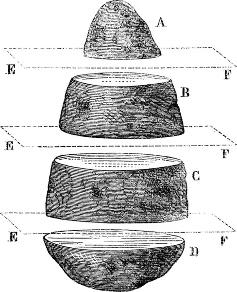 の曲線のデモでは ビンテージの図は刻まれています マガシンドス Pittoresque 1875 — ストックベクタ