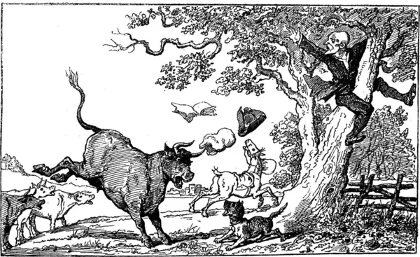Doctor Syntax Being Chased Bull Par Thomas Rowlandson Illustration Gravée — Image vectorielle