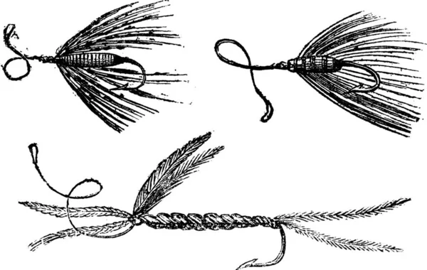 パーマー 月にアリの翼 リトルピー ヴィンテージの図を刻まれています マガシンドス Pittoresque 1875 — ストックベクタ