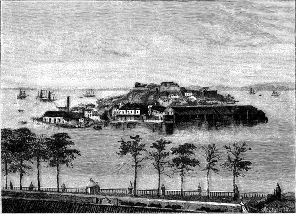 リオデジャネイロの湾でスネーク島です ヴィンテージ Tirpenne 図を刻まれました マガシンドス Pittoresque 1874 — ストックベクタ
