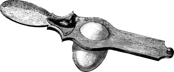 用于切割煮蛋壳的器具 复古刻插图 Magasin Pittoresque 1877 — 图库矢量图片