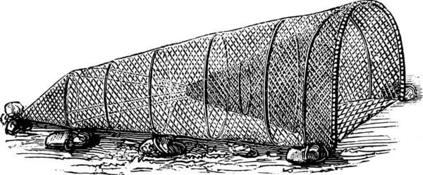 Pêche Sans Pêcheur Illustration Gravée Vintage Magasin Pittoresque 1877 — Image vectorielle
