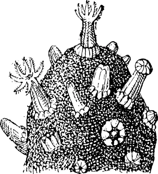Рука Намальована Каракуля Хеллоуїн Ілюстрація — стоковий вектор