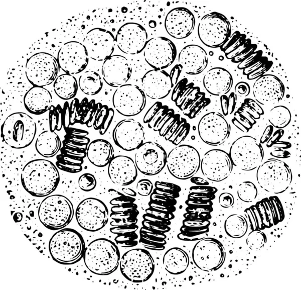 자세히 살펴보면 Leucocythemia 빈티지 삽화에피 보입니다 라브라 1885 박사의 — 스톡 벡터