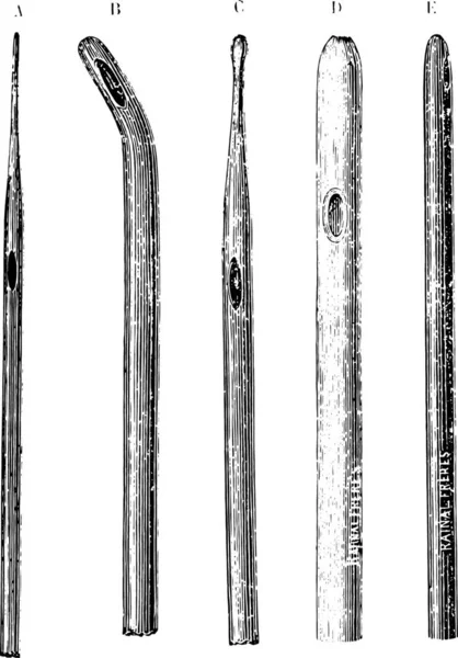 Jeu Croquis Vectoriels Différents Types Bois — Image vectorielle