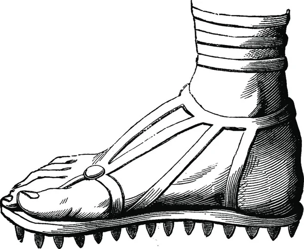 Handgezeichnete Illustration Eines Paares Damenschuhe — Stockvektor