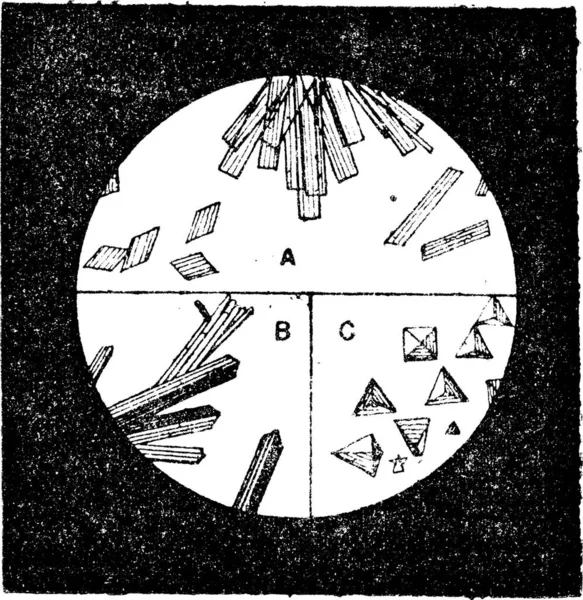 Fig Cristales Hemoglobina Sangre Del Hombre Cristales Hemoglobina Del Gato — Archivo Imágenes Vectoriales