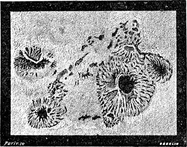 Давня Гравюра Зображенні Сонячних Плям Датована Квітня 1869 Року Словник — стоковий вектор