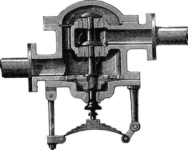 Ordet Svartvitt — Stock vektor