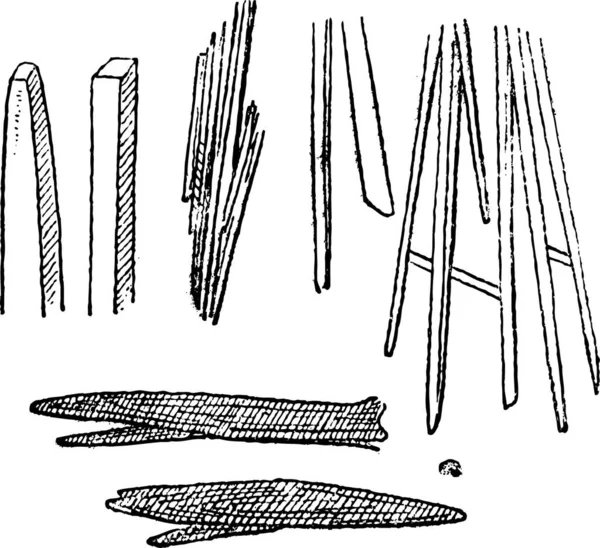 Урея Або Карбамід Показані Кристалічній Формі Вінтажна Гравюра Dictionary Words — стоковий вектор