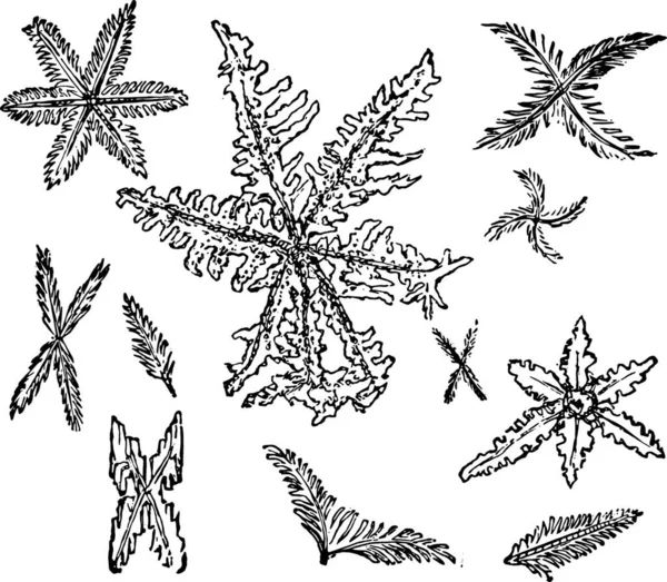 Stern Und Federkristalle Aus Dreifachem Phosphat Gravierte Illustration — Stockvektor