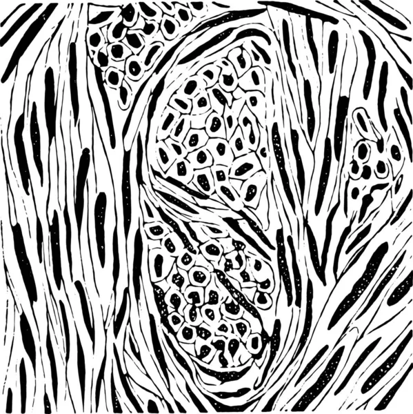 Fondo Abstracto Blanco Negro Con Patrón Monocromo — Vector de stock