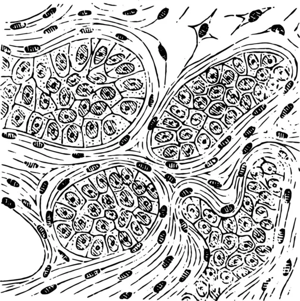 抽象的な手描きのシームレスなパターンのベクトル図 — ストックベクタ