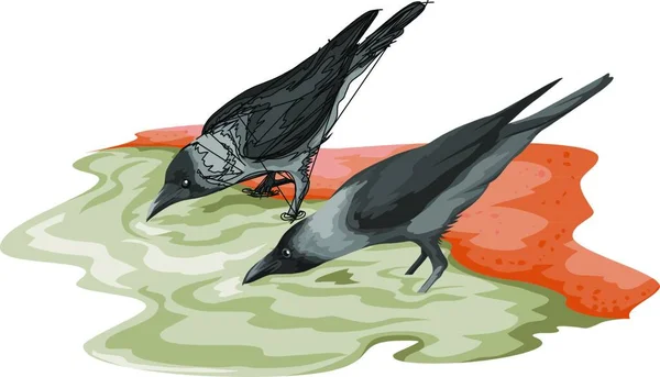Ilustracja Białym Tle Ptak — Wektor stockowy