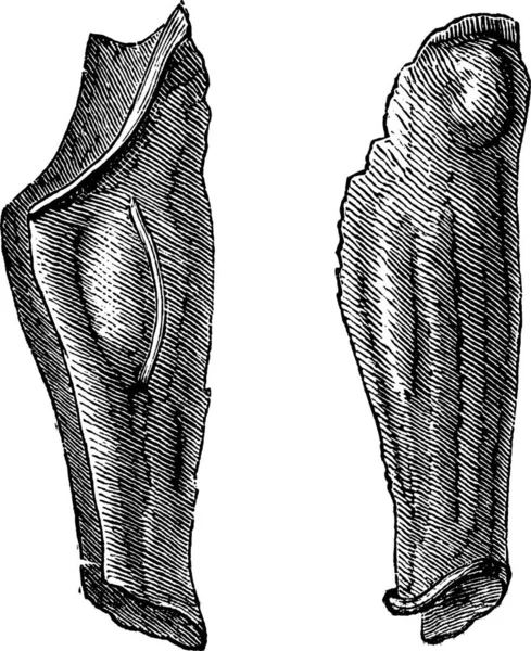 Stary Wygrawerowanym Ilustracja Nogi Zbroi Cyny Lub Elastyczne Skwarki Przemysłowe — Wektor stockowy