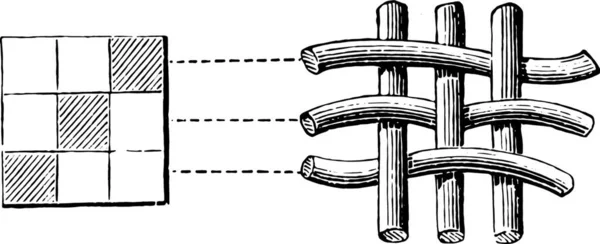 Textura Caxemira Escocesa Ilustração Gravada Vintage Enciclopédia Industrial Lami 1875 — Vetor de Stock
