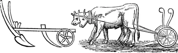Een Paard Rijdt Een Koets Een Vintage Lijntekening Een Illustratie — Stockvector