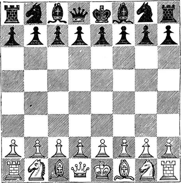 チェスボードセット ベクターイラスト — ストックベクタ