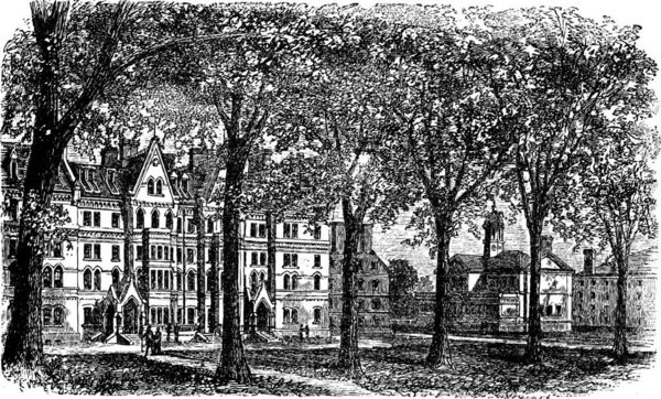 ハーバード大学 ケンブリッジ マサチューセッツ州ヴィンテージの彫刻 1890年代のハーバード大学のキャンパスの古い刻まれたイラスト — ストックベクタ