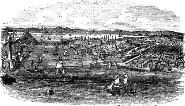 哈瓦纳市景观 古古巴版画 1890年代哈瓦纳城市景观和海上船只的古老雕刻图解 — 图库矢量图片