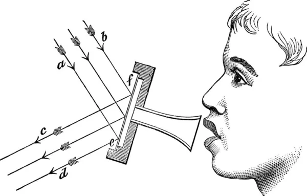 Obrázek Zrcadlová Clona Vintage Vyryto Illustration Trousset Encyklopedie 1886 1891 — Stockový vektor