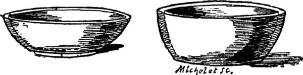 Töpfe Für Taubennester Gravierte Illustration Trousset Lexikon 1886 1891 — Stockvektor