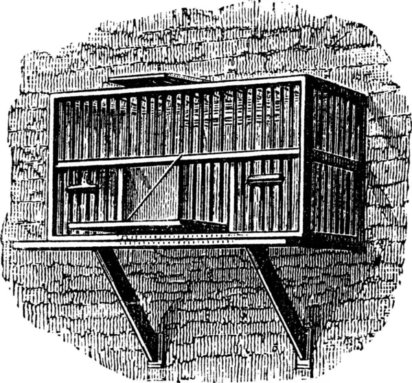 Fläche Oder Taubenkäfig Gravierte Illustration Trousset Lexikon 1886 1891 — Stockvektor