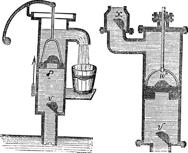 Ілюстрація Вінтажного Малюнка Рослини — стоковий вектор
