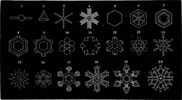 Kristallijnen Vormen Van Sneeuw Gezien Onder Microscoop Vintage Gegraveerde Afbeelding — Stockvector