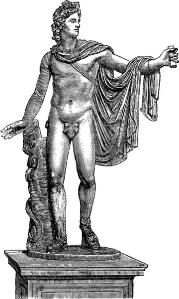 Apolo Belvedere Apolo Del Belvedere Pythian Apolo Ciudad Del Vaticano — Vector de stock