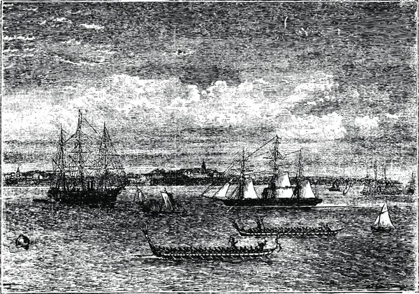 Port Auckland Dans Les Années 1890 Gravure Vintage Nouvelle Zélande — Image vectorielle