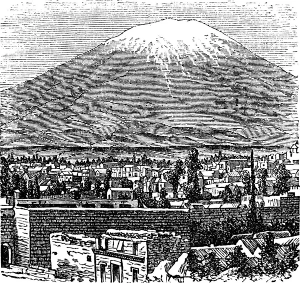 Arequipa Misti Volcano Old Engraving 1890 Old Engraved Illustration Arequipa — Stock Vector