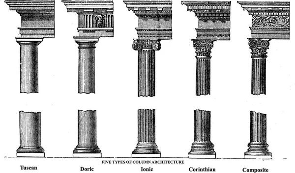 Cinco Tipos Arquitectura Columna Antigua Grabado Antiguo Vector Ilustración Grabada — Archivo Imágenes Vectoriales