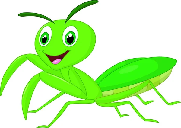 Praying Mantis Sprinkhaan Cartoon — Stockvector