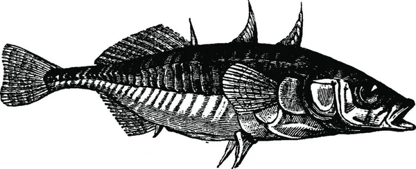 Ilustración Barco Pesquero — Archivo Imágenes Vectoriales