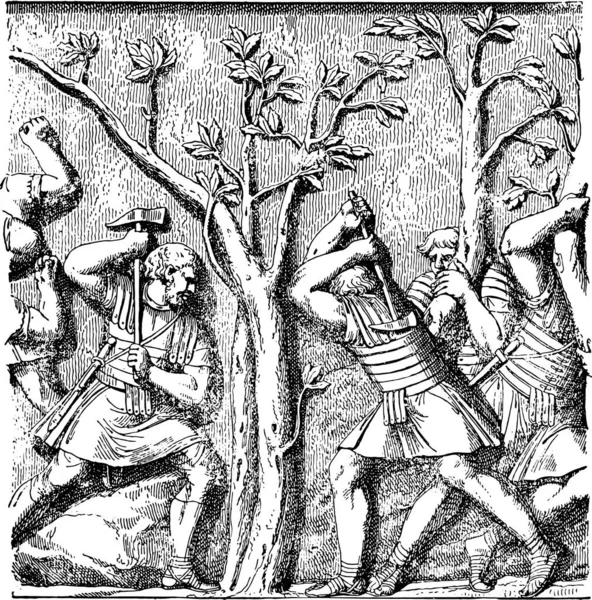 Soldados Romanos Derrubando Uma Árvore Vintage Gravada Ilustração —  Vetores de Stock