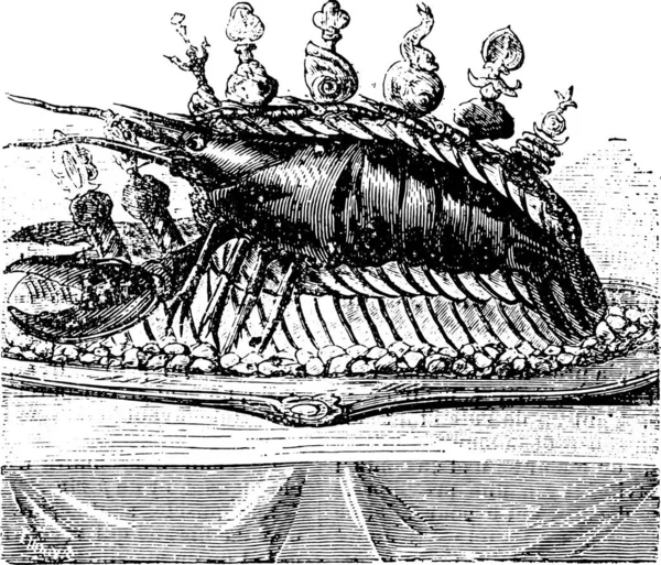 整只龙虾配上 Hatelet 复古雕刻插图 — 图库矢量图片
