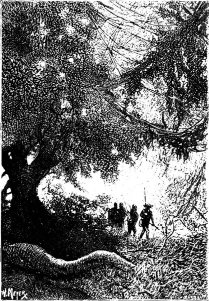 Dick Sand Went Thick Forest Vintage Engraved Illustration — Stok Vektör