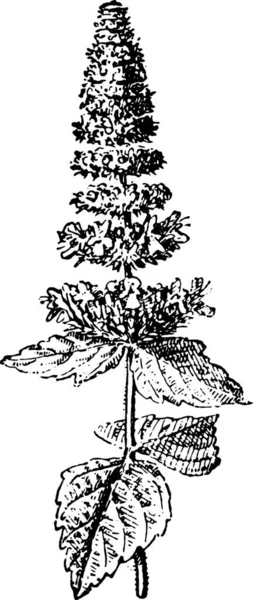 Illustrazione Albero Natale Con Sfondo Nero — Vettoriale Stock