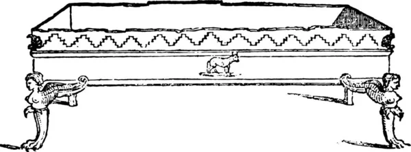 Dušení Tequilu Vintage Gravírovanou Objevil Magasin Pittoresque 1836 — Stockový vektor