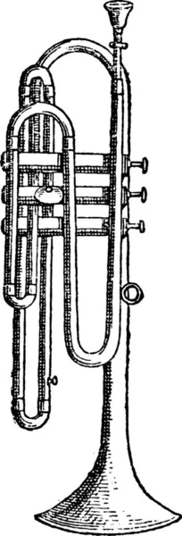 Illustration Ett Musikinstrument — Stock vektor