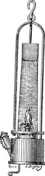 Illustrazione Vecchia Annata Dizionario Una Pianta — Vettoriale Stock