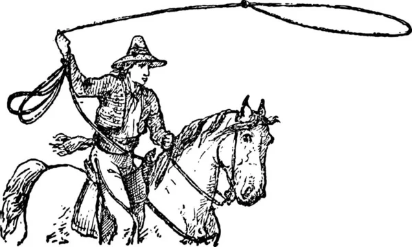 Чорно Біла Ілюстрація Коня — стоковий вектор