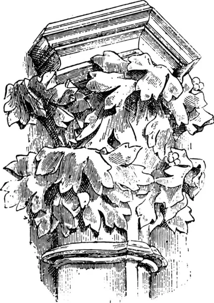 資本金 Xiv カルカソンヌ大聖堂 ビンテージの刻まれた図 Larive フルーリ 1895年 — ストックベクタ