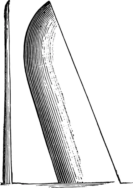 동등한 형태의 Coulter 빈티지 새겨진 1875 — 스톡 벡터