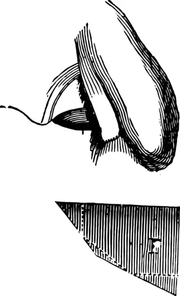 Гравюра Изображением Рукописного Эскиза Ножа — стоковый вектор